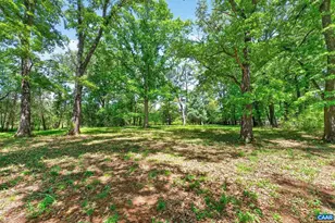 4362 Ivy Rd, Charlottesville, VA 22903 - Photo 44