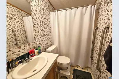 981 Scotts Bottom Rd, Dillwyn, VA 23936 - Photo 22