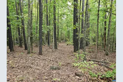 981 Scotts Bottom Rd, Dillwyn, VA 23936 - Photo 46
