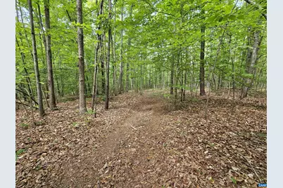 981 Scotts Bottom Rd, Dillwyn, VA 23936 - Photo 50