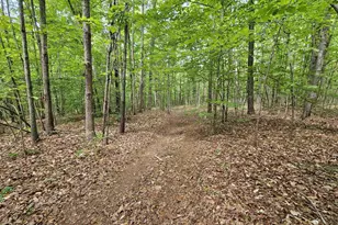 981 Scotts Bottom Rd, Dillwyn, VA 23936 - Photo 50