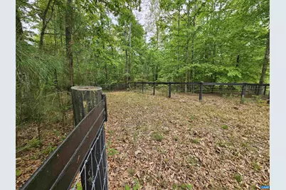 981 Scotts Bottom Rd, Dillwyn, VA 23936 - Photo 54