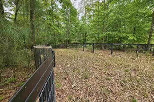 981 Scotts Bottom Rd, Dillwyn, VA 23936 - Photo 54