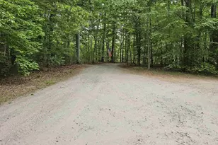 981 Scotts Bottom Rd, Dillwyn, VA 23936 - Photo 32