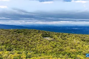 45 Timber Camp Dr, Wintergreen Resort, VA 22967 - Photo 60