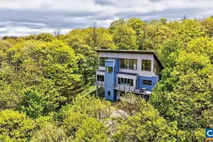 45 Timber Camp Dr, Wintergreen Resort, VA 22967 - Photo 62