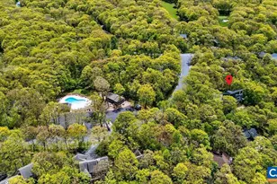 45 Timber Camp Dr, Wintergreen Resort, VA 22967 - Photo 56