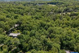 315 Terrell Rd W, Charlottesville, VA 22901 - Photo 40