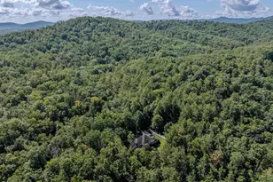 395 Ivy Vista Dr, Charlottesville, VA 22903 - Photo 68
