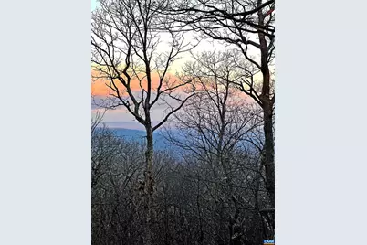 45 Ravens Roost Ln, Wintergreen Resort, VA 22967 - Photo 34