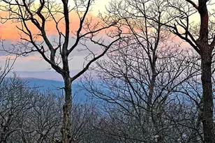 45 Ravens Roost Ln, Wintergreen Resort, VA 22967 - Photo 34