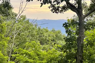 45 Ravens Roost Ln, Wintergreen Resort, VA 22967 - Photo 32