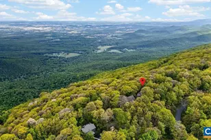 45 Ravens Roost Ln, Wintergreen Resort, VA 22967 - Photo 56