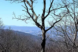 45 Ravens Roost Ln, Wintergreen Resort, VA 22967 - Photo 4