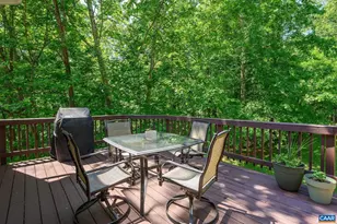 1708 Wright Ln, Charlottesville, VA 22911 - Photo 42