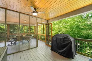 1244 Blue Ridge Dr, Wintergreen Resort, VA 22967 - Photo 32