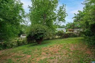 908 Rockland Ave, Charlottesville, VA 22902 - Photo 36