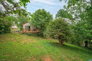 908 Rockland Ave, Charlottesville, VA 22902 - Photo 34