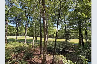 27 Fox Sparrow Ln, Wintergreen Resort, VA 22967 - Photo 20