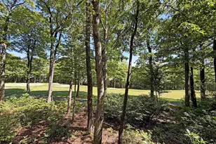 27 Fox Sparrow Ln, Wintergreen Resort, VA 22967 - Photo 20