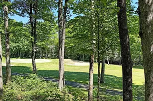 27 Fox Sparrow Ln, Wintergreen Resort, VA 22967 - Photo 4