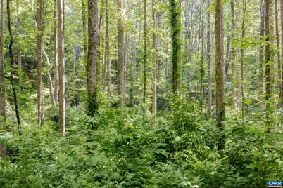 Tbd Poorhouse Rd, Charlottesville, VA 22903 - Photo 10