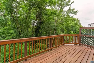 1039 Glenwood Station Ln, Charlottesville, VA 22901 - Photo 32