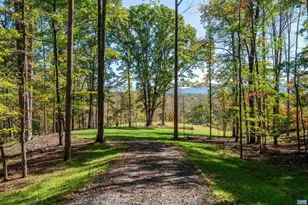 3 Dick Woods Rd, Afton, VA 22903 - Photo 24