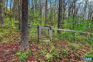 138 Oak Ln, Wintergreen Resort, VA 22967 - Photo 38