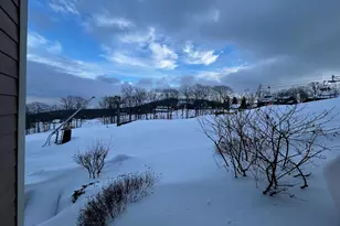 905 Diamond Hill Condos, Wintergreen, VA 22967 - Photo 22