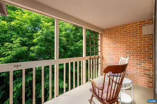 138 Green Turtle Ln, Charlottesville, VA 22901 - Photo 16