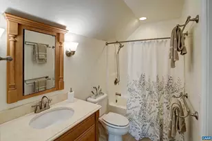 5223 Brook View Rd, Crozet, VA 22932 - Photo 54