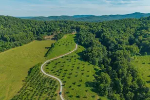 2098 Goodling Rd, North Garden, VA 22959 - Photo 74