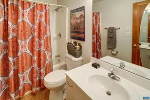 136 Hooded Warbler Ln, Nellysford, VA 22958 - Photo 52