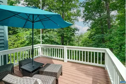 136 Hooded Warbler Ln, Nellysford, VA 22958 - Photo 70