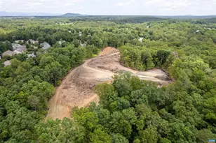 2534-1 Montgomery Ridge Rd, Charlottesville, VA 22911 - Photo 22