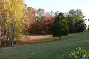 426 Burgess Rd, Madison Heights, VA 24572 - Photo 20