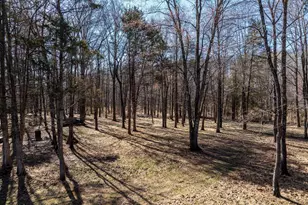 15760 Fox Chase Ln, Culpeper, VA 22701 - Photo 46