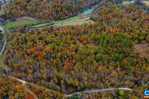 0 Willow Branch Ln, Faber, VA 22938 - Photo 56
