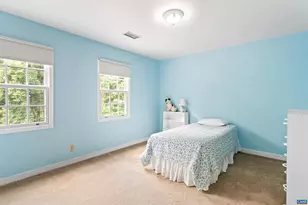 140 Langford Pl, Charlottesville, VA 22903 - Photo 24