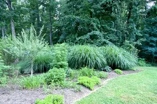 2629 Warwick Pl, Earlysville, VA 22936 - Photo 58