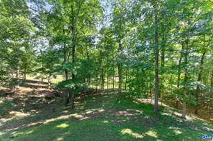 3225 Prestwick Pl, Keswick, VA 22947 - Photo 50