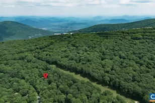 20 Blue Ridge Ct, Wintergreen Resort, VA 22967 - Photo 54