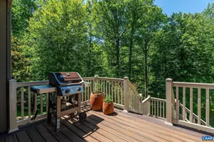 895 Langdon Woods Dr, Dyke, VA 22935 - Photo 46