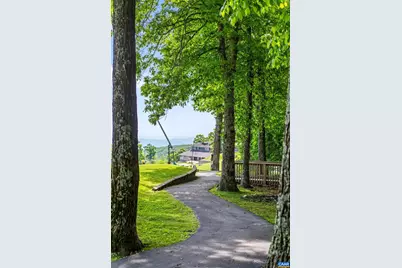 312 Dobie Ln, Roseland, VA 22967 - Photo 6