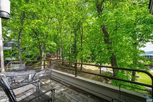 312 Dobie Ln, Roseland, VA 22967 - Photo 52