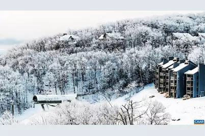 1641 Overlook Condos, Wintergreen, VA 22967 - Photo 48