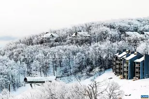 1641 Overlook Condos, Wintergreen, VA 22967 - Photo 48