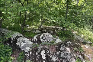 82 Warrior Run, Roseland, VA 22967 - Photo 30