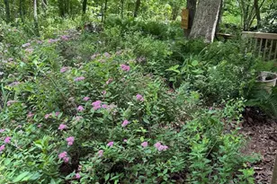 82 Warrior Run, Roseland, VA 22967 - Photo 24